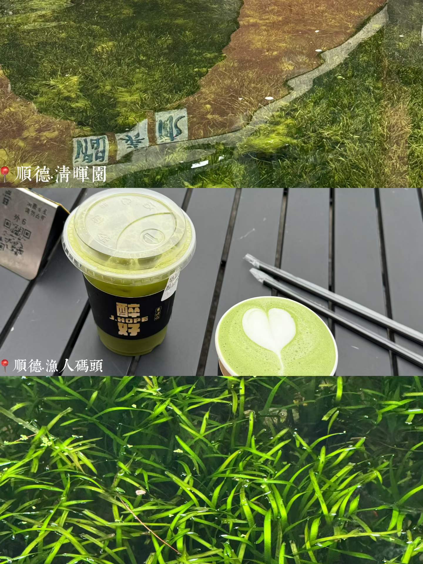 Green drink and pond